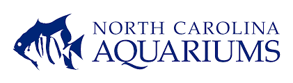 NC Aquariums