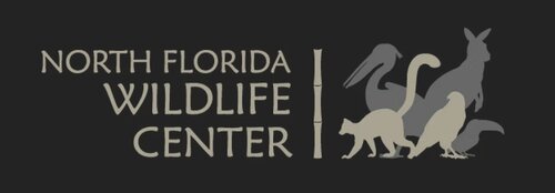 North Florida Wildlife Center