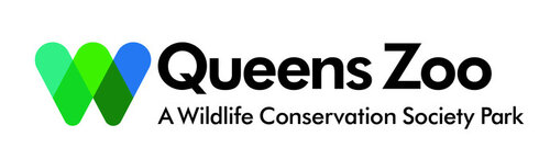 Queens Zoo