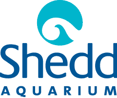Shedd Aquarium
