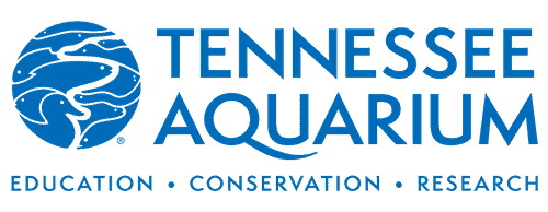 Tennessee Aquarium